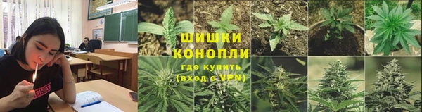 прущие крисы Баксан
